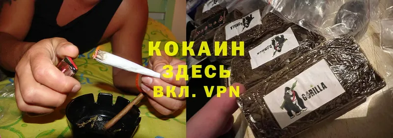 где продают   Бодайбо  Cocaine VHQ 